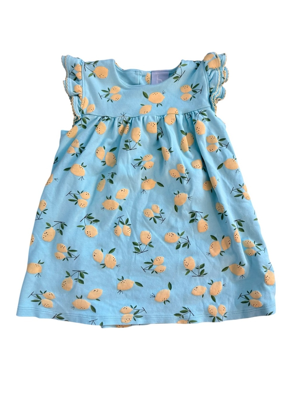 Teal Lemon Print Pima Cotton Dress